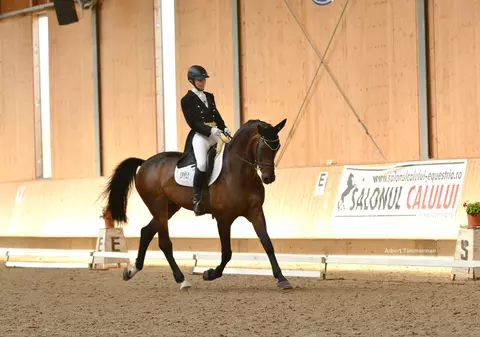 Sportivi din toată țara participă la Cupa Equestria la Dresaj, primul concurs oficial de dresaj de anul acesta / GALERIE FOTO