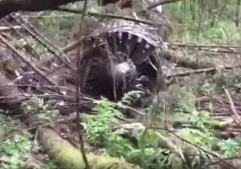 Un avion de luptă s-a prăbușit în apropiere de Moscova | VIDEO
