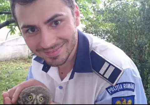 POVESTE EMOȚIONANTĂ: Un polițist din Iași a salvat de la moarte un pui de bufniță VIDEO