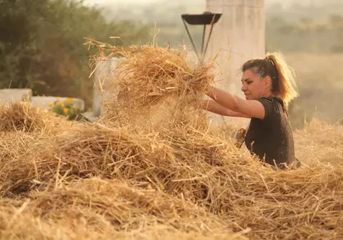 EXCLUSIV/ Asta numai investiție nu se poate numi! Pe ce a cheltuit Sorana banii câștigați la ”Ferma vedetelor”