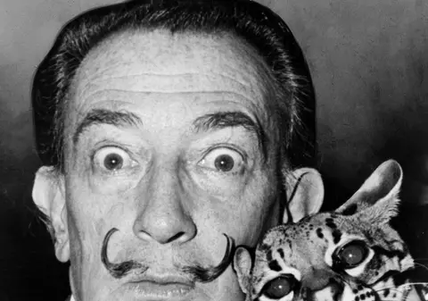 O pânză semnată de Dalvador Dali, găsită la 7 ani de când a fost furată dintr-un muzeu