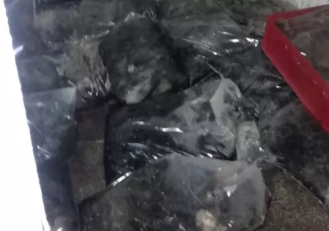 Două tone de carne în putrefacţie, găsite de inspectorii DSV într-un abator din Codlea