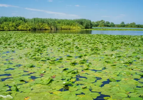 (P) Plătește 1 și merg 2, în Delta Dunării!