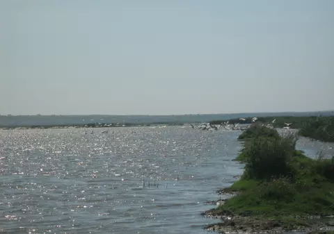 Copil de 12 ani din Iași, dispărut în apele unui iaz