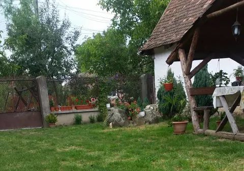 FOTO/VIDEO | Un câine Beagle și un pisoi, tovarăși de joacă!
