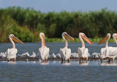 (P) Escapadă în familie la Gulliver Delta Resort