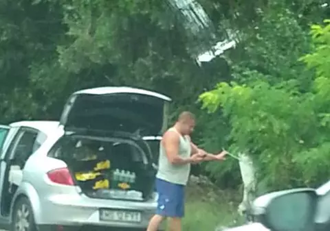 Revoltător! Un turist a fost filmat în timp ce îşi aruncă gunoiul pe marginea drumului