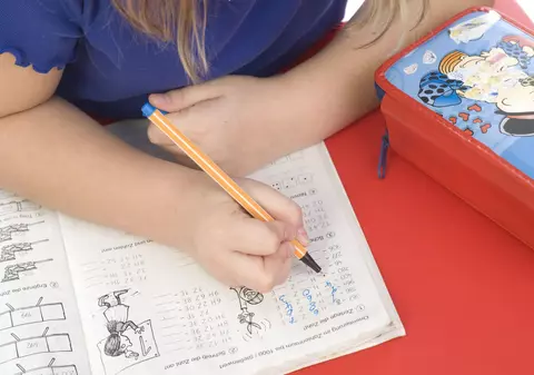 Sindicaliștii din învățământ solicită Guvernului să cumpere calculatoare elevilor, din banii pe care îi dădea pe laptele, cornul și merele oferite în școli