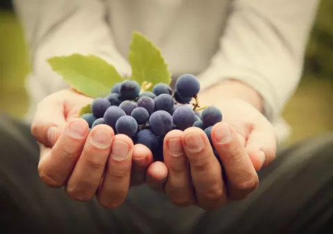 Producția națională de vin va fi mai mare cu 11% față de anul trecut