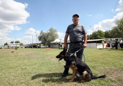 EXCLUSIVITATE  ”Am învățat mecanică în vamă, la serviciu”. Inspectorul vamal Doru Gârlea spune că s-a ”recalificat” la locul de muncă din cauza traficanților din ce în ce mai inventivi