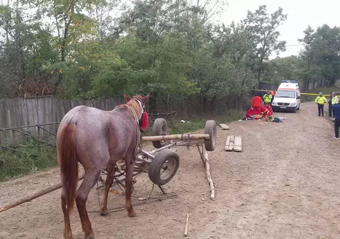 Accident tragic! Căruța în care se aflau doi copii s-a răsturnat GALERIE FOTO