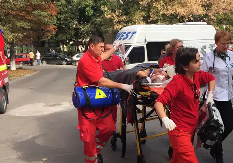 Bărbat rănit grav de propriul cal pentru că mirosea a alcool