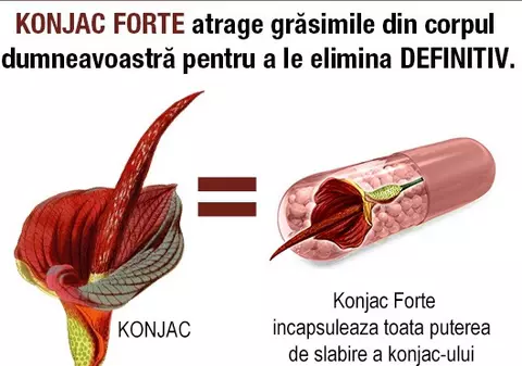 (P) Dr. Oz si Dr. Dukan introduc konjac-ul în toate curele lor de slăbire!