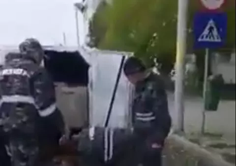 Câini aruncați în saci de hingherii din Vaslui. Animalele prinse sunt chinuite