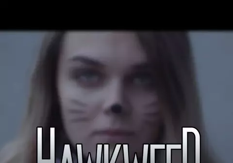 Premieră Libertatea.ro. Sprint Music lanseaza Hawkweed Walls, un proiect international!