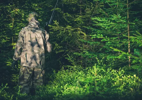 LIBERTATEA TE AJUTĂ: Pază gratuită pentru păduri private de până la 30 de hectare