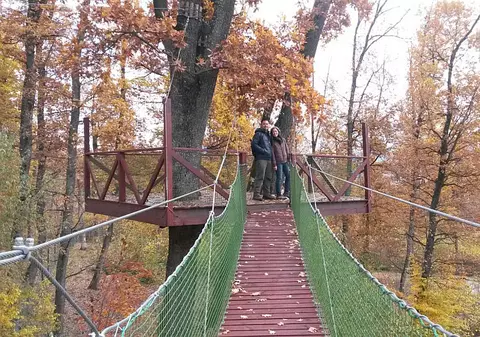 Doi americani au petrecut "luna de miere" la sanctuarul de urşi de la Zărneşti!