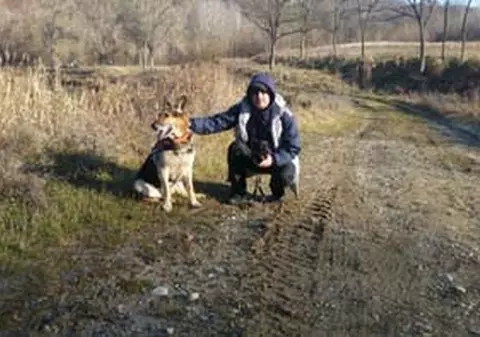Biţă, câinele erou care a luptat în Afganistan. Are 10 ani și nu iese la pensie
