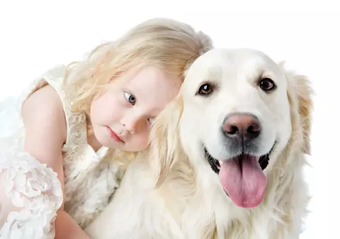 Câinele născut în zodia Taurului este un căpos sentimental