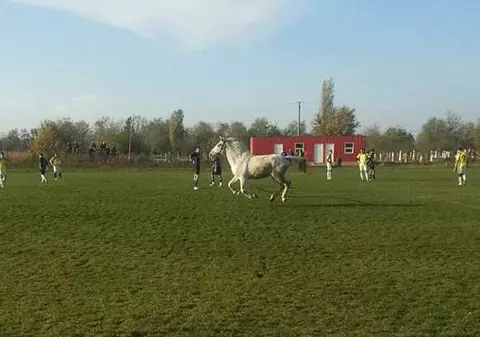 Un cal a pătruns pe teren la un meci de fotbal din România! „A alergat cinci minute ca să ne ajute să egalăm!”