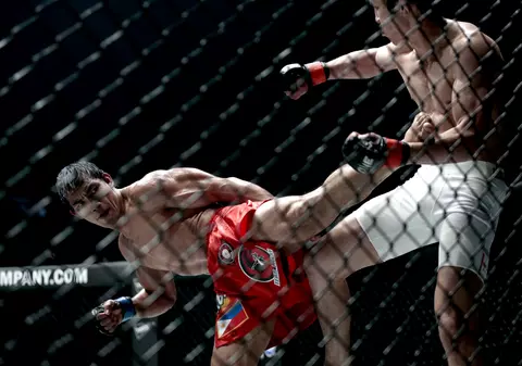 România a cucerit două medalii la Campionatele Europene de MMA de la Praga