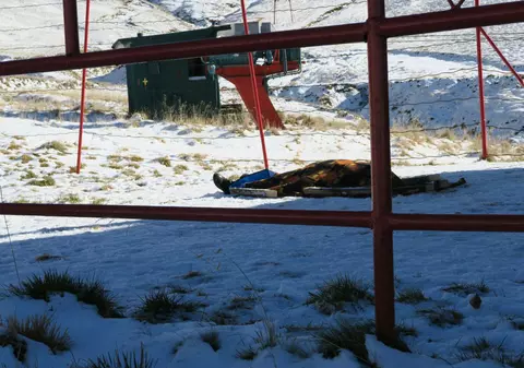 Accident de muncă pe Valea Prahovei. Un bărbat a murit după ce a căzut din telescaun