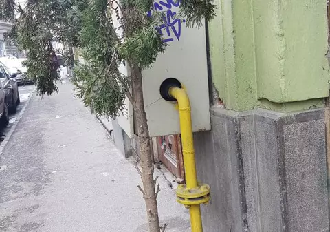 A legat brazii cu lanțuri pentru a nu mai fi furați, în Arad. Hoțul, suprins în acțiune de camerele de supraveghere
