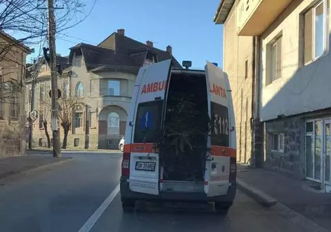 Ambulanță folosită pentru transportul brazilor în Satu Mare VIDEO