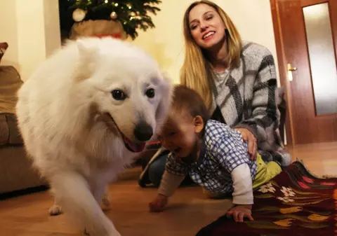 Dana Rogoz, pusă într-o situație delicată, în mijlocul străzii. "M-am așezat efectiv pe jos în patru labe"