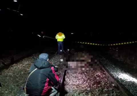 Un cioban a fost lovit mortal de tren în Buzău. Zeci de oi din turma sa au fost ucise pe calea ferată