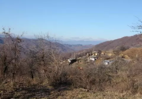 Copiii aceștia stau în mijlocul pădurii și nu au auzit de Moș Crăciun!