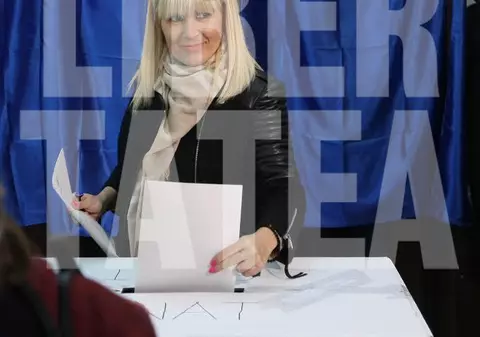 Rezultate alegeri parlamentare 2016. Ce rezultate au obținut Elena Udrea, Theodor Paleologu şi Remus Cernea