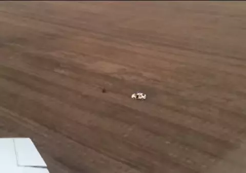 Un hoț a fost prins cu ajutorul unui pilot de avion la Timișoara. Cum au primit polițiștii ajutor din cer