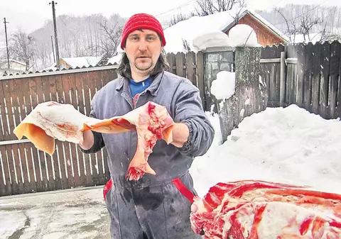 Tai porcul de Crăciun? Ferește-te de trichineloză!
