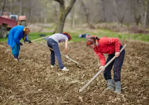 LIBERTATEA TE AJUTĂ: Cei care primesc ajutor social sunt obligați să plătească CASS?