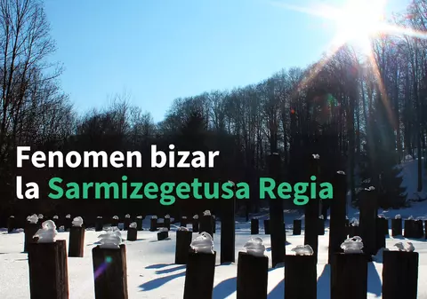 Fenomen absolut bizar la Sarmizegetusa Regia. Natura a sculptat păsări albe la Marele Templu Circular