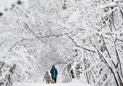 Peste 15 autoturisme românești blocate în Bulgaria sunt conduse spre Vama Veche de poliția bulgară. Anunțul MAE