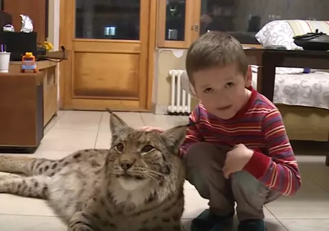 O familie din Moscova împarte apartamentul cu un râs | VIDEO