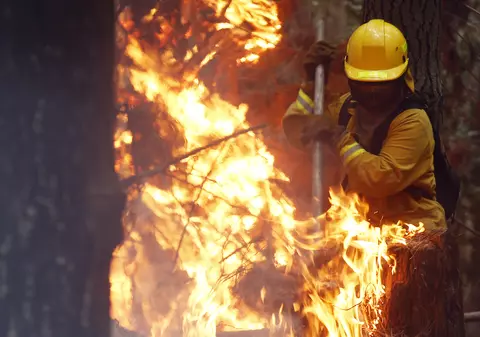 Stare de urgență în Florida, din cauza incendiilor de vegetație | VIDEO