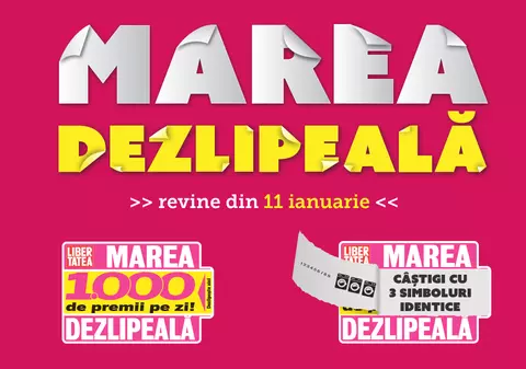 Marea Dezlipeală le-a adus câte 1.000 de lei