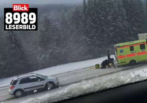 Atac armat în Elveția. Doi polițiști au fost răniți