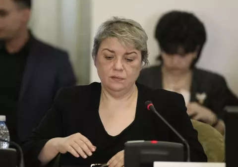 Sevil Shhaideh, Rovana Plumb şi Răzvan Cuc au demisionat din Guvern