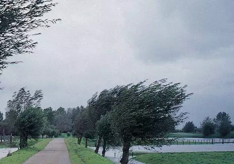 UPDATE. Codul galben de vânt pentru cinci județe din România, prelungit până la ora 18