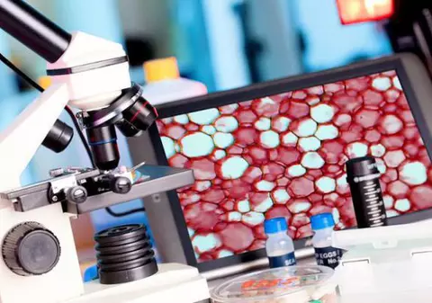 Cancerul vindecat cu ajutorul ”hibernării”