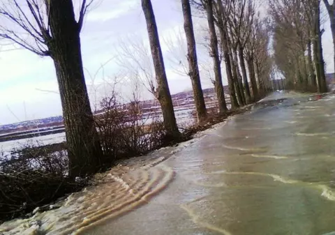 Inundații în județul Arad. Zeci de hectare au fost inundate, un drum este necirculabil