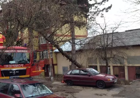 Vântul a făcut ravagii în Suceava. Copaci căzuți peste mașini, acoperișul unui bloc smuls FOTO