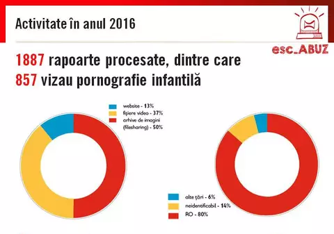Pericolele internetului, pentru copii: Peste 800 de cazuri privind conținut pornografic infantil, raportate în 2016