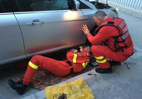 Pui de pisică, salvați de un echipaj SMURD dintr-o mașină | VIDEO