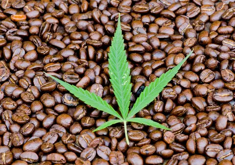 Cafea cu cannabis ar fi fost vândută în Brașov. Cafeneaua ar putea fi amendată cu 100.000 de lei