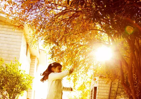 LIBERTATEA TE AJUTĂ: Copacul din curtea vecinului e lipit de gardul meu. Ce să fac?